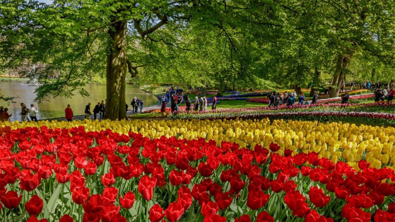 Molecaten Park Noordduinen Katwijk aan Zee Kültér fotó